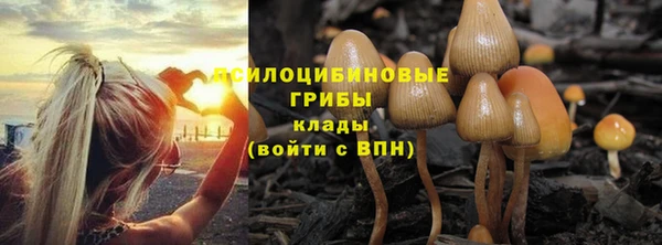 метадон Богородск