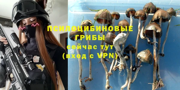 Альфа ПВП Богданович