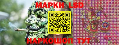 эйфоретик Донской