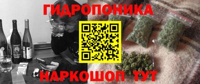 кокс Дубна